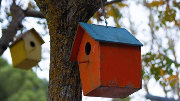 PARKSIDE donirao 30 kućica za ptice povodom jubileja, podrška zaštiti životne sredine – donacija kućica za ptice