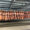Svinjsko meso poskupelo 15 odsto nakon afričke kuge, cena tovljenika do 230 dinara – tržište svinjskog mesa