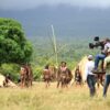 Industrija filmova za odrasle u Ukrajini donela državi 900.000 dolara poreza tokom rata – filmovi za odrasle