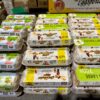 Proizvođači jaja povlače A klasu zbog Salmonella Enteritidis bakterije u Hrvatskoj – povlačenje jaja A klase