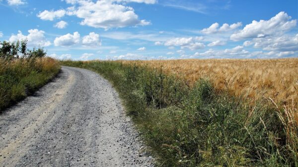 Cene uvozne robe i usluga u SAD porasle 0,7 odsto u avgustu, iznad očekivanja