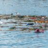 Plastic and debris floating on ocean surface, highlighting pollution issue.