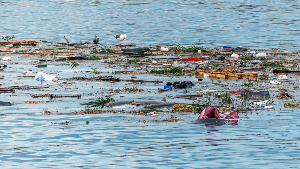 Plastic and debris floating on ocean surface, highlighting pollution issue.