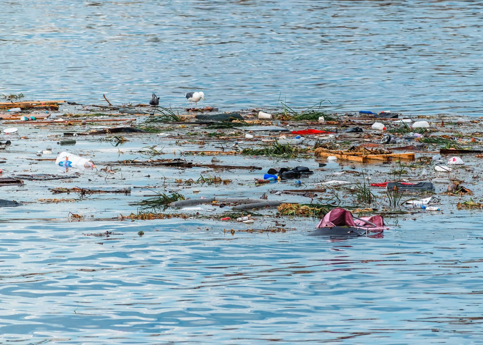 Plastic and debris floating on ocean surface, highlighting pollution issue.