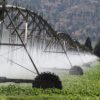 Srbija i Francuska dogovorile ubrzanje poljoprivrednih i vodoprivrednih projekata – poljoprivredni i vodoprivredni projekti