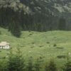 Vikendica na Tari oglašena za 60.000 evra uz veliki plac i šumu