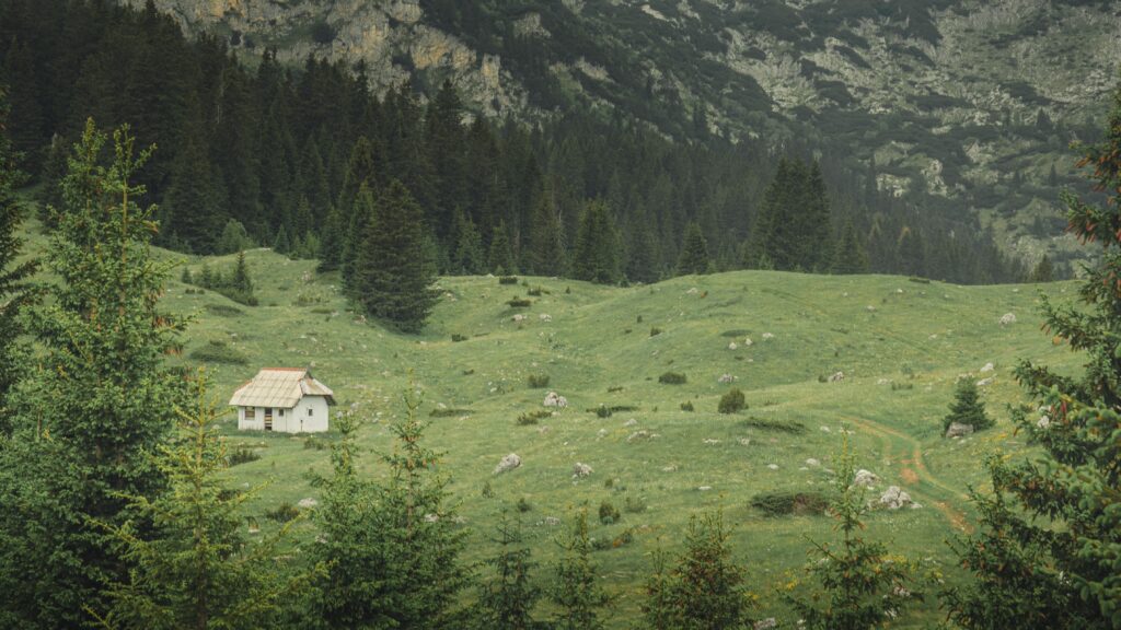 Vikendica na Tari oglašena za 60.000 evra uz veliki plac i šumu