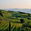 Vlada Srbije usvaja prostorni plan Negotinskog vinogorja, zabranjena eksploatacija ruda