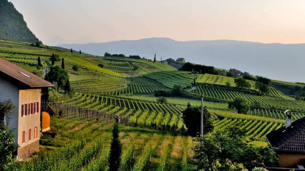 Vlada Srbije usvaja prostorni plan Negotinskog vinogorja, zabranjena eksploatacija ruda