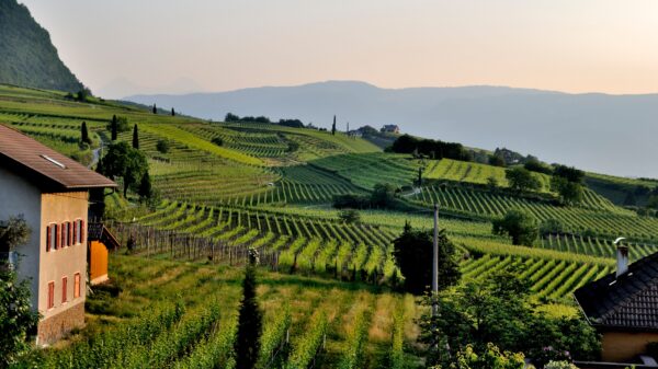 Vlada Srbije usvaja prostorni plan Negotinskog vinogorja, zabranjena eksploatacija ruda