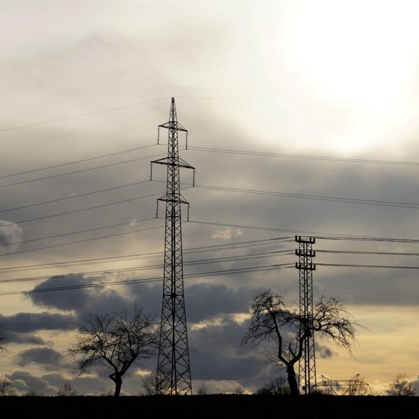 Elektroprivreda Srbije obeležila 133 godine od prve termocentrale na Dorćolu – Elektroprivreda Srbije energetika