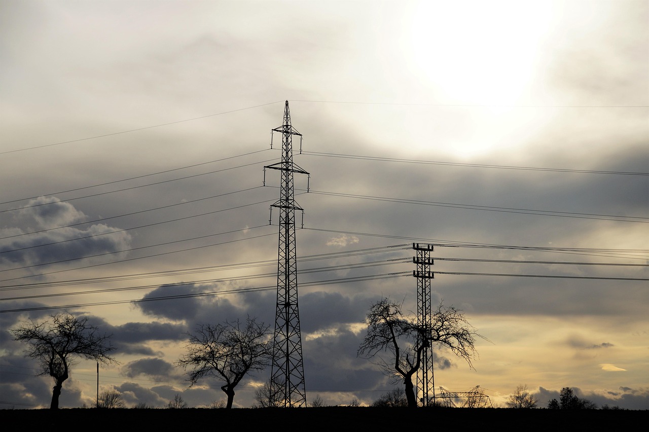 Elektroprivreda Srbije obeležila 133 godine od prve termocentrale na Dorćolu – Elektroprivreda Srbije energetika