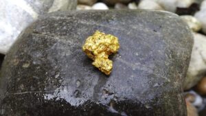 gold, gold nugget, nugget, natural gold, gold nuggets, precious, gold nugget, gold nugget, gold nugget, gold nugget, gold nugget, gold nuggets
