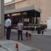Security guard with a dog at a building entrance in Baku, Azerbaijan, emphasizing urban safety.