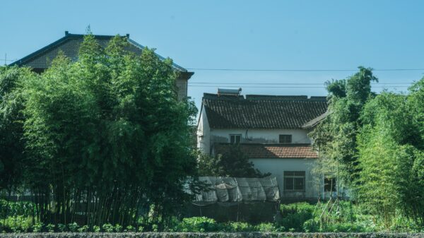 Kanadski investitor kupio kuću u Japanu za 11.000 dolara bez očekivanja profita – kupovina nekretnina u Japanu